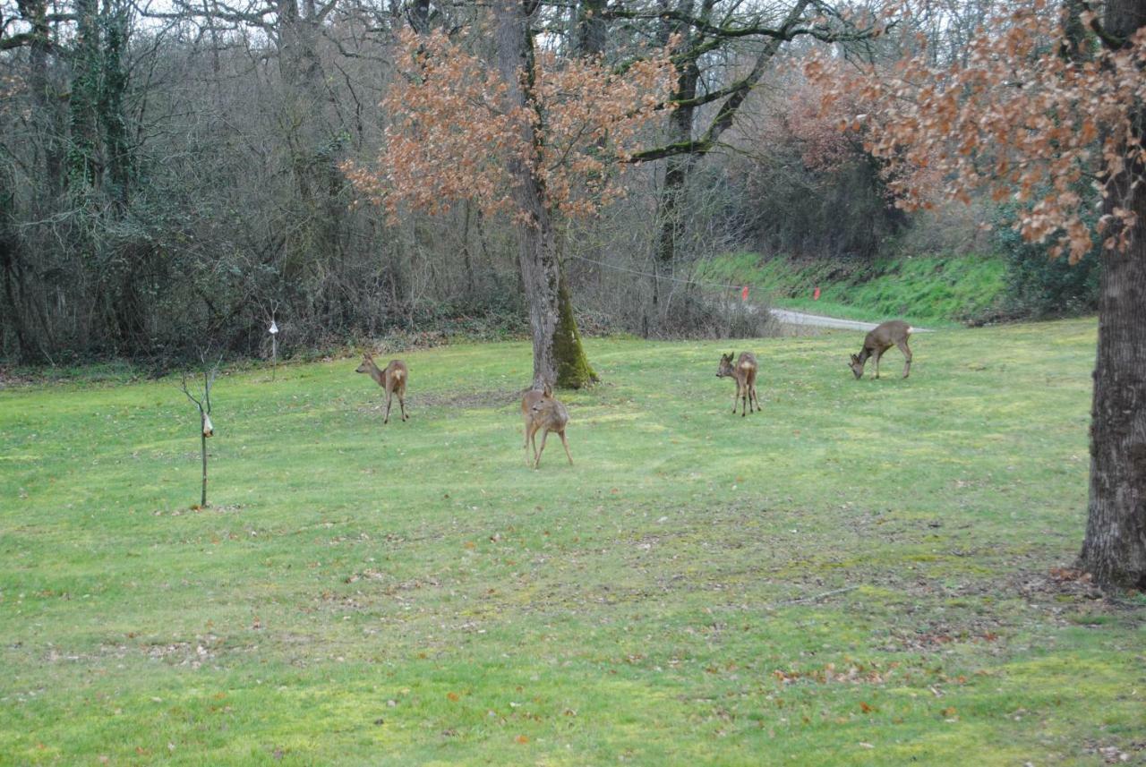 L Occitane Villa Gimont Luaran gambar